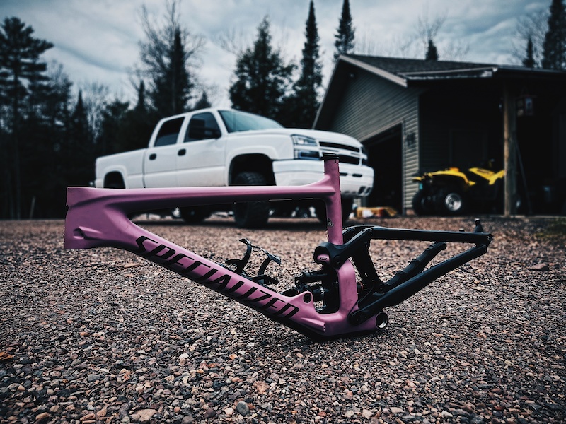 2021 Custom specialized endurance frame For Sale