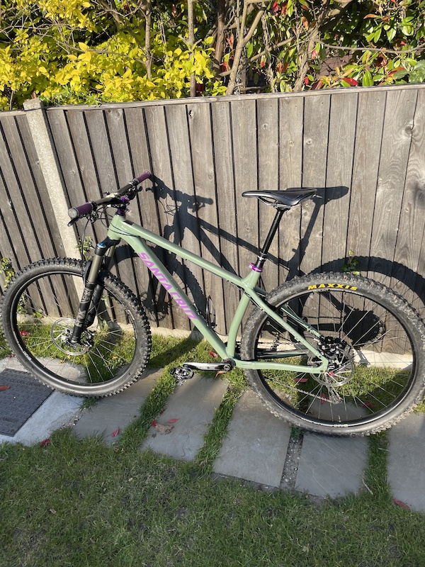 santa cruz chameleon price