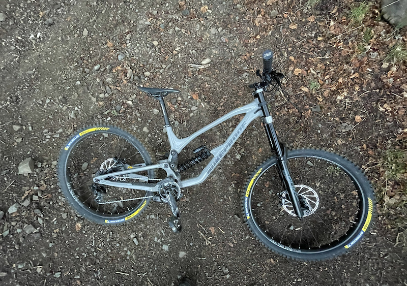 nukeproof dissent 29