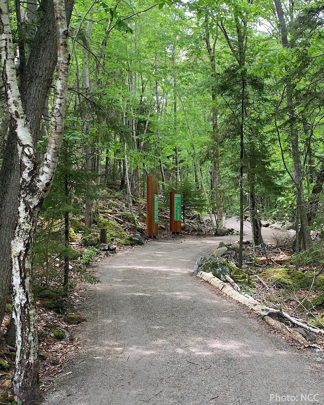 Entry Trail Hiking Trail Halifax, Nova Scotia
