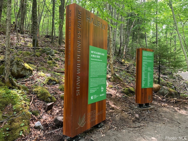 Entry Trail Hiking Trail Halifax, Nova Scotia