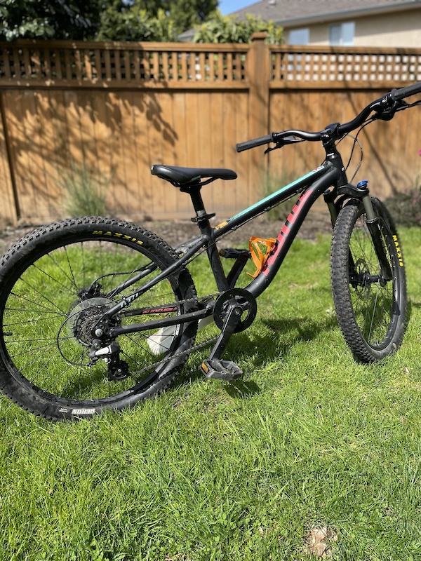 kona honzo 24 2019