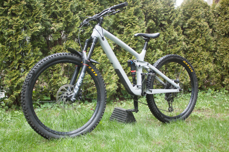 2019 trek remedy 9.9