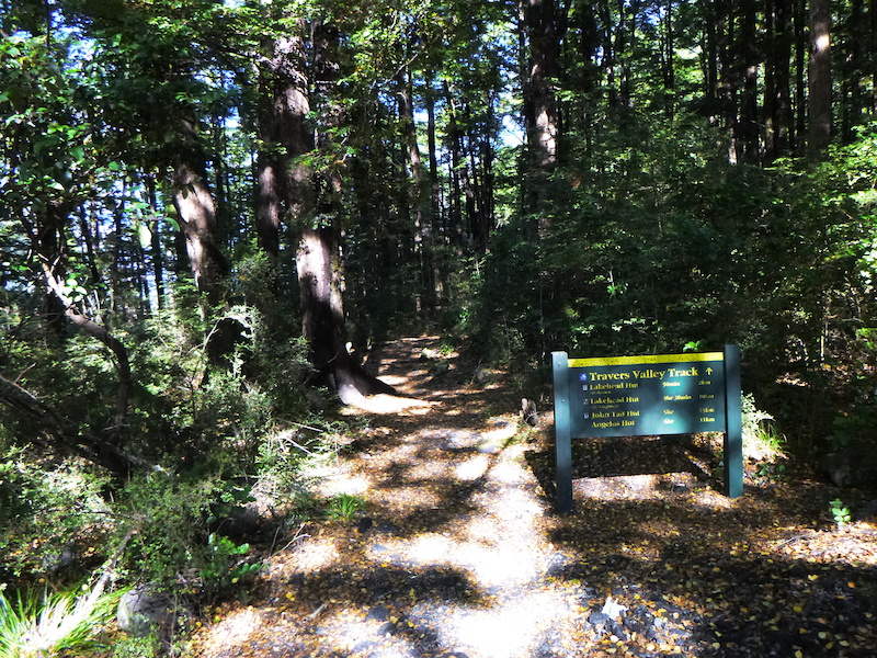 Lake Rotoiti Circuit Hiking Trail - | Trailforks