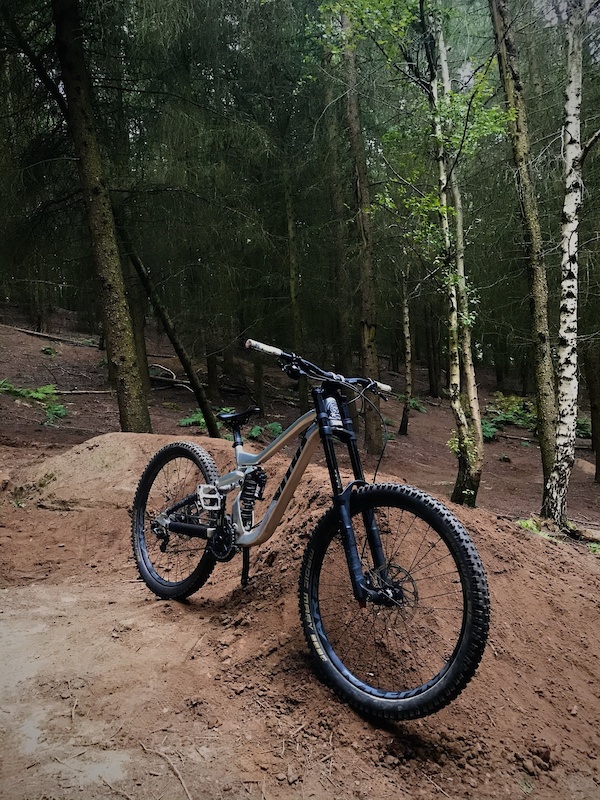 The Vitus Dominer is a lot of downhill bike for just £2,500 The Vitus Dominer is a lot of downhill bike for just £2,500