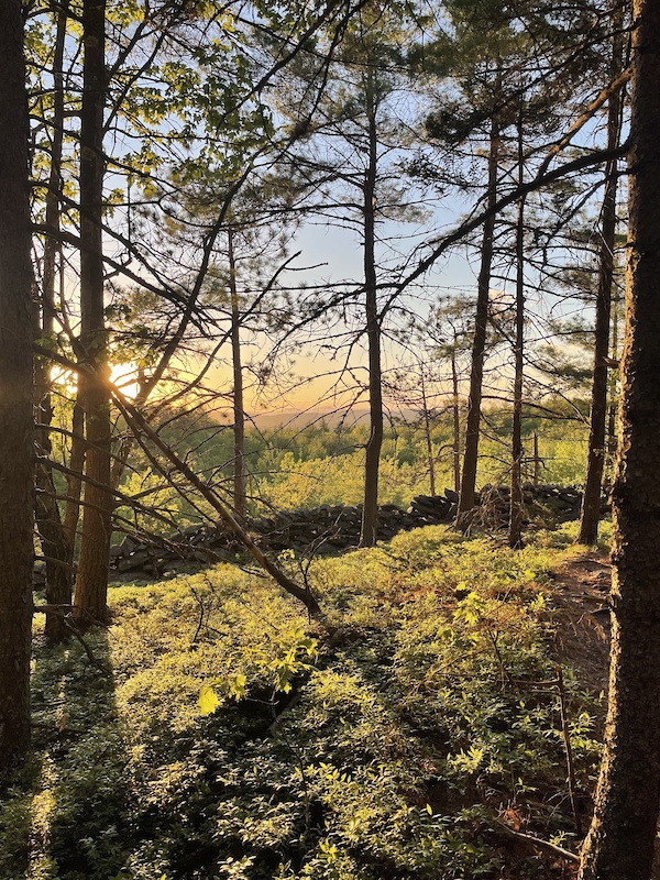 Blue Job Mountain State Forest, Farmington Mountain Biking Trails