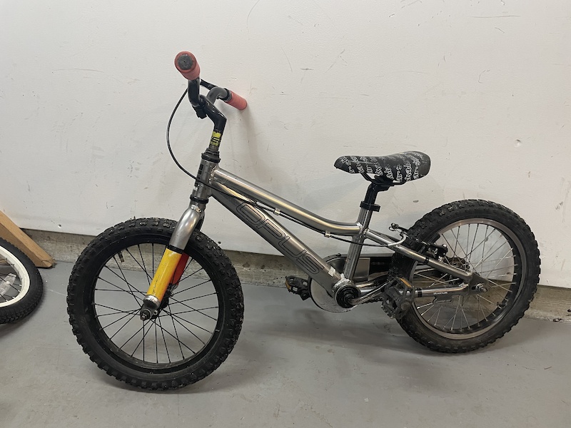 opus case bike