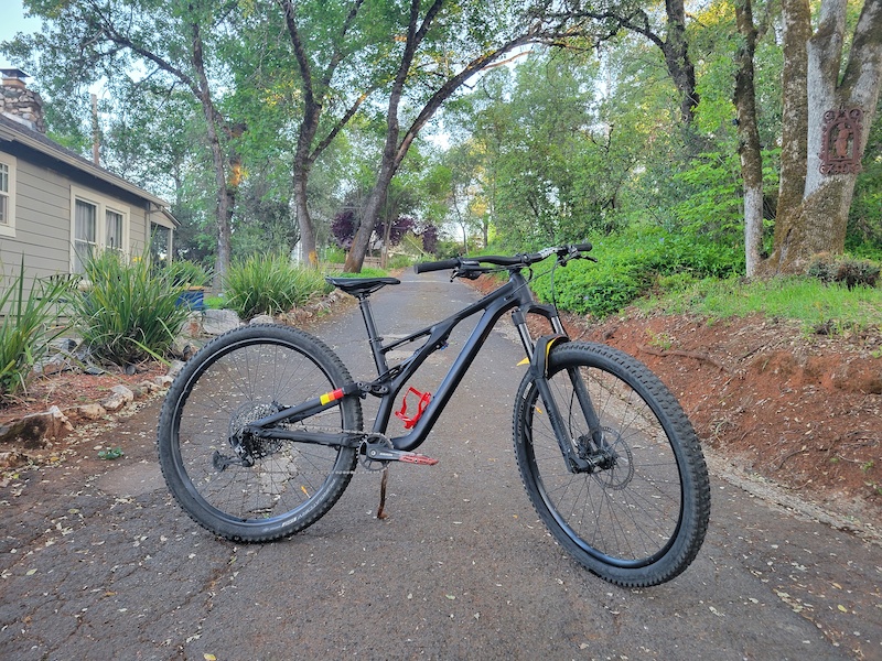 2020 stumpjumper st alloy 29 Clearance