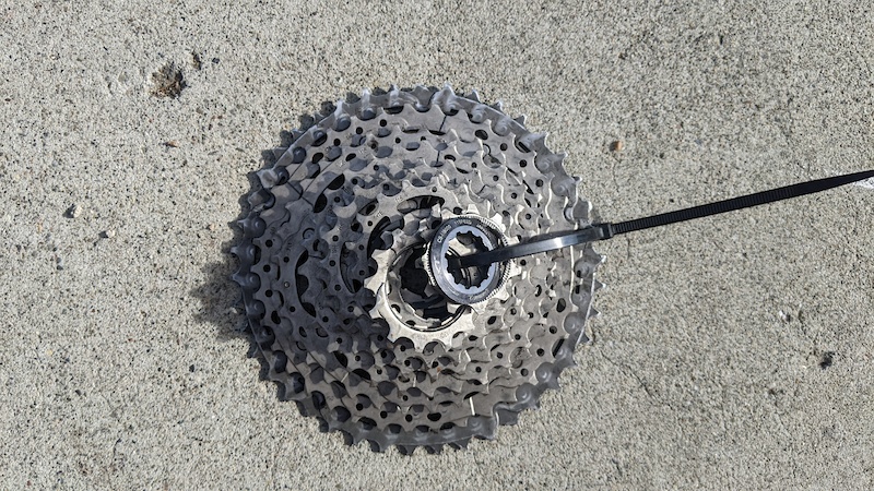 shimano xt 1x12 cassette