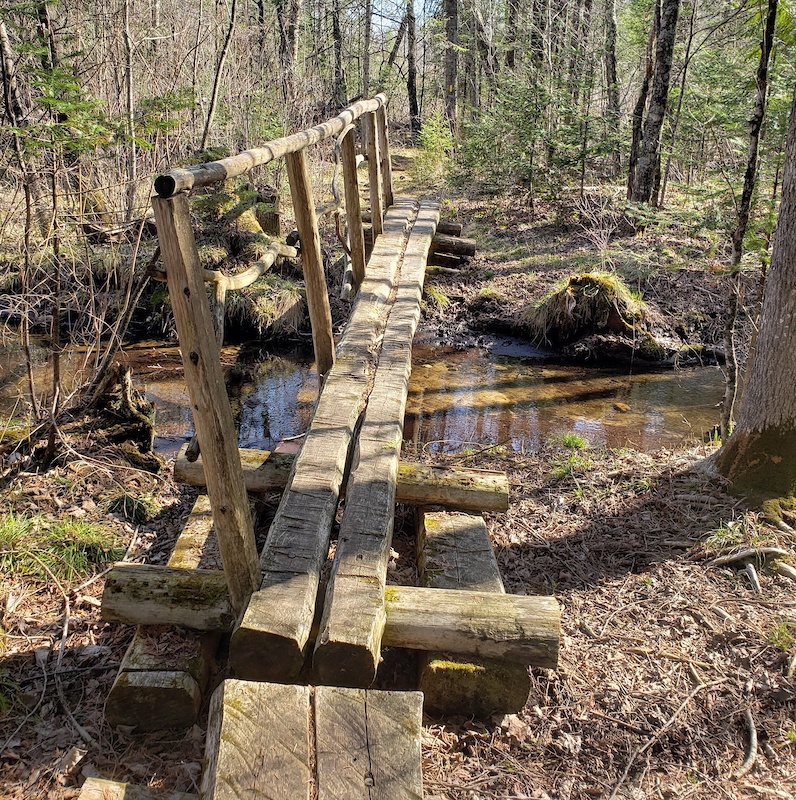 Ice Age (Plover River) Hiking Trail Antiogo, Wisconsin