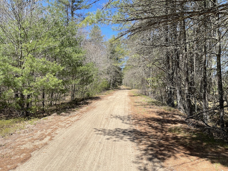 Ware River Rail Trail - Rte 62 to Williamsville Rd Multi Trail - Barre