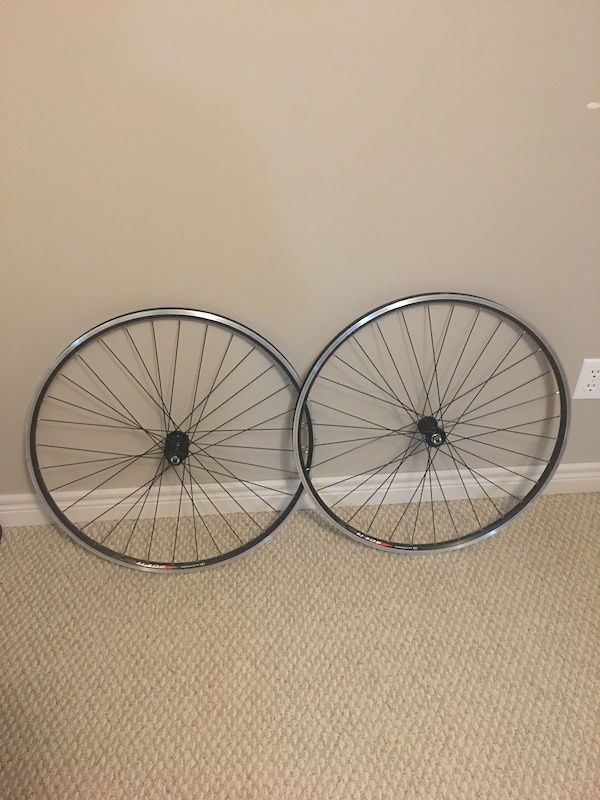 26 rim brake rims