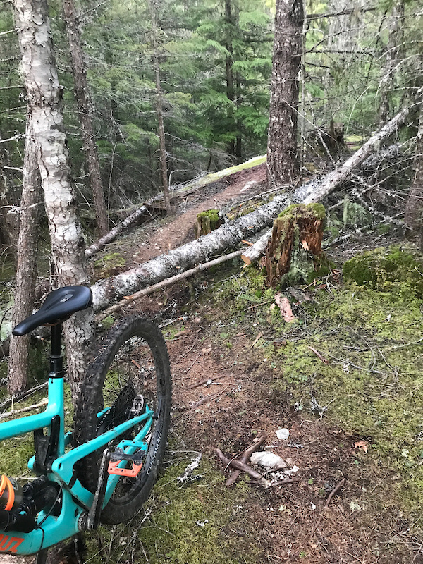 Java Mtb Routes Java Time Mountain Biking Trail - Whistler, BC
