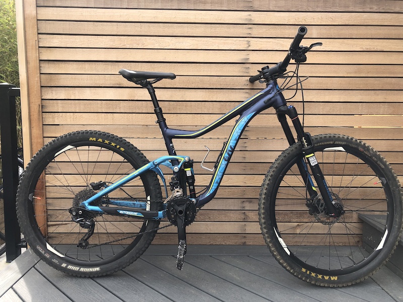 buy fat tire bike