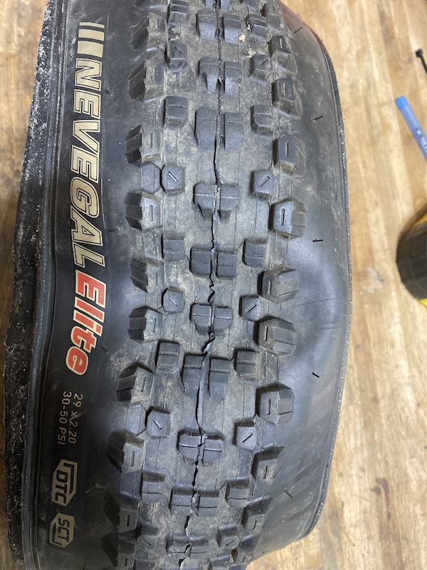 kenda nevegal 29 tubeless