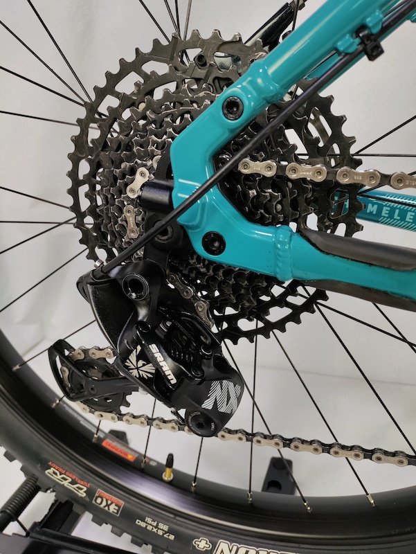 chameleon santa cruz 2019