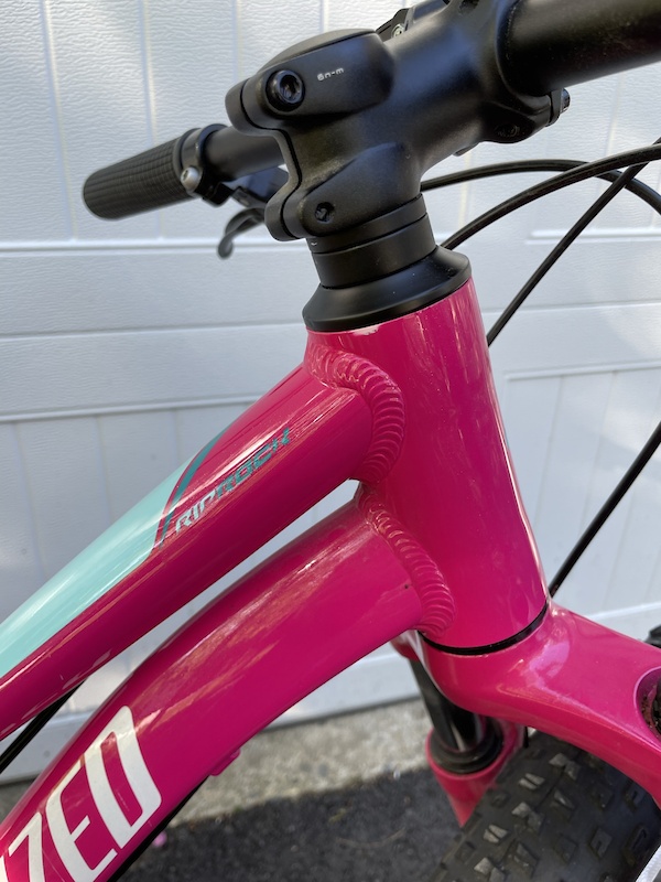 2019 Specialized Riprock 20