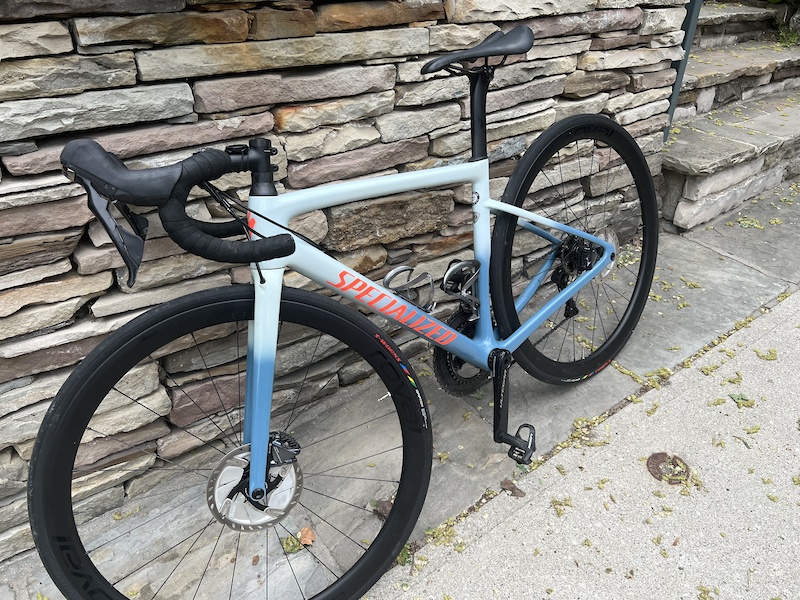 specialized tarmac disc expert 2019