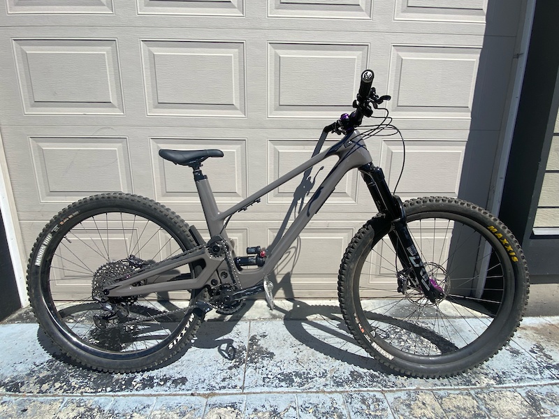 forbidden druid frame price