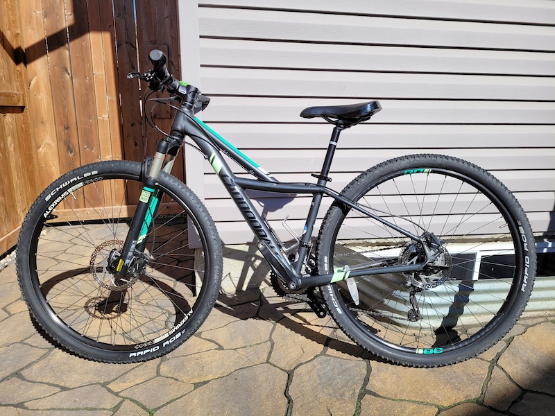 cannondale tango 3