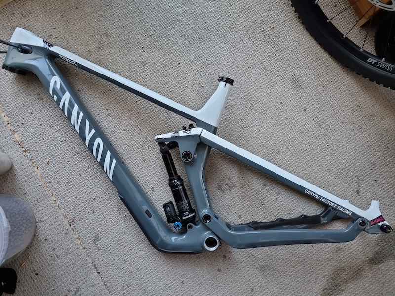 canyon strive frame