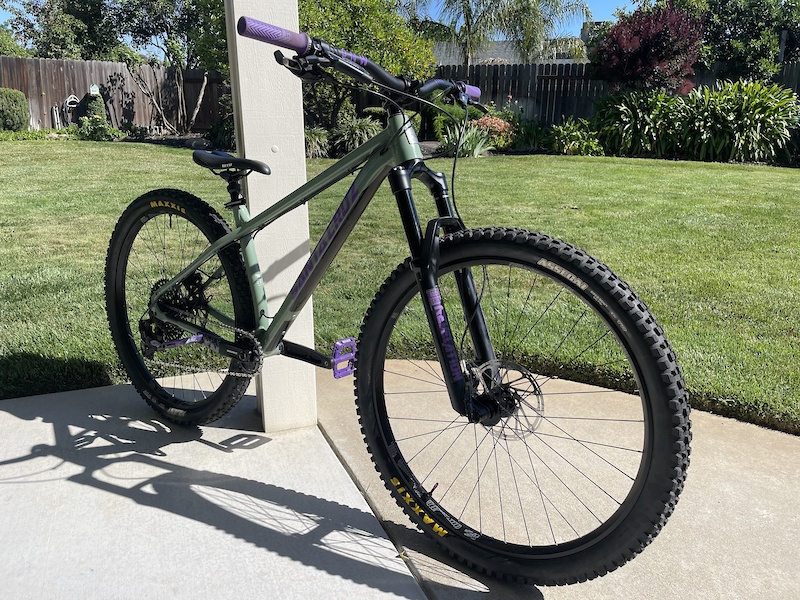 used santa cruz chameleon for sale