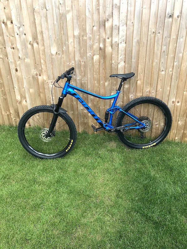 giant tcr rosewood