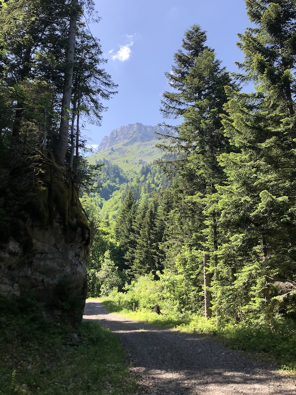 Sentiers des Géants, part 2 Mountain Biking Trail