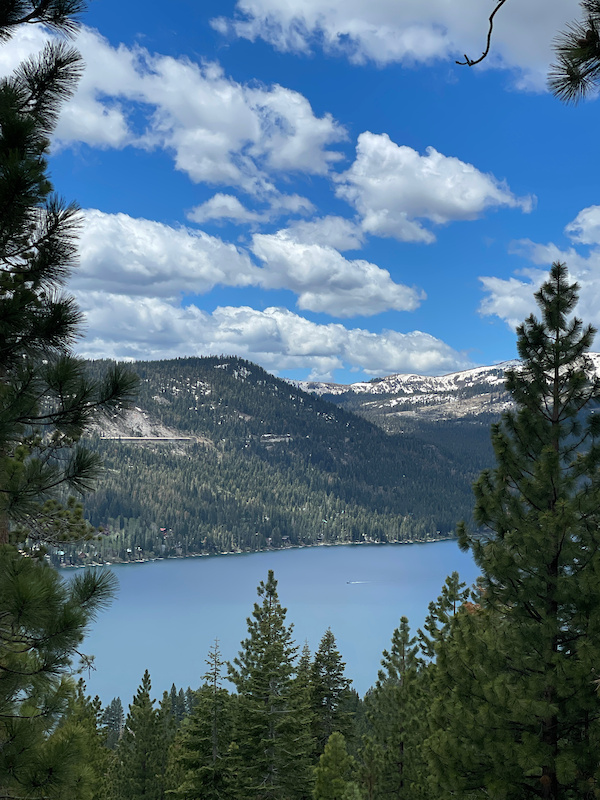 Donner Lake Rim Trail Armstrong Multi Trail Truckee 8492