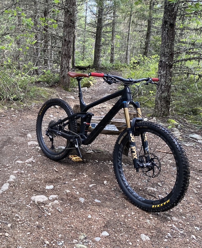 2019 trek remedy 9.9