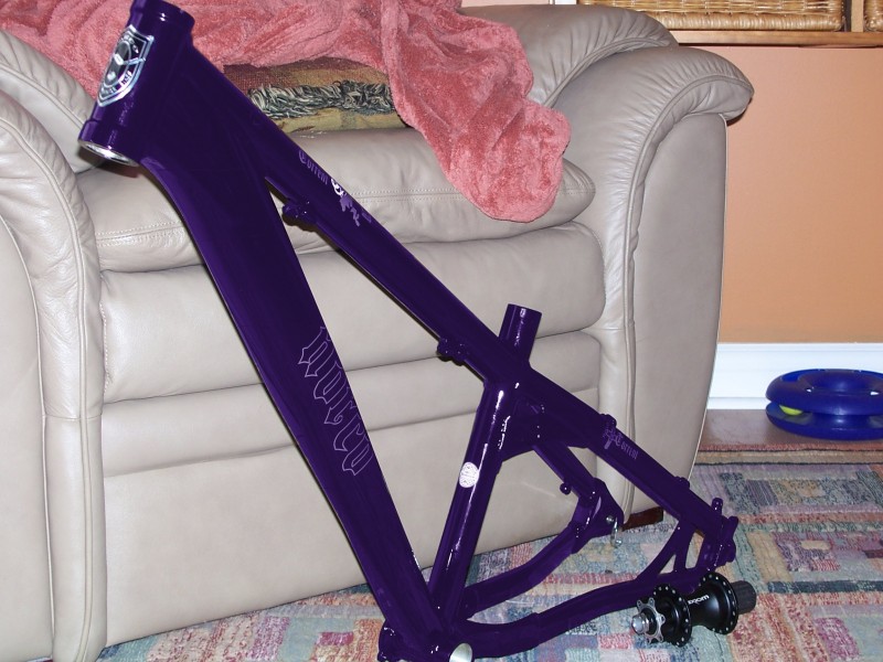 My torrent frame if it was purple (photoshopped)