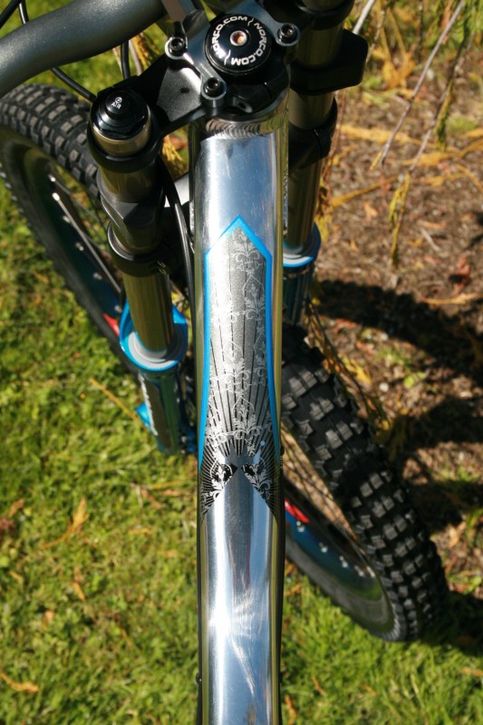 Norco Team DH-top tube graphics.