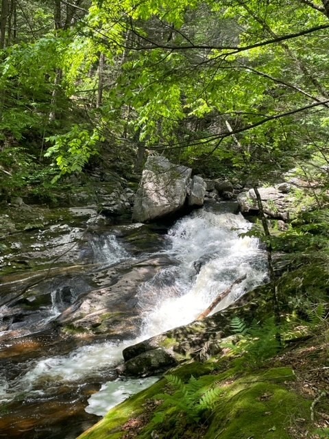 Hubbard River Trail Multi Trail - Granville, MA