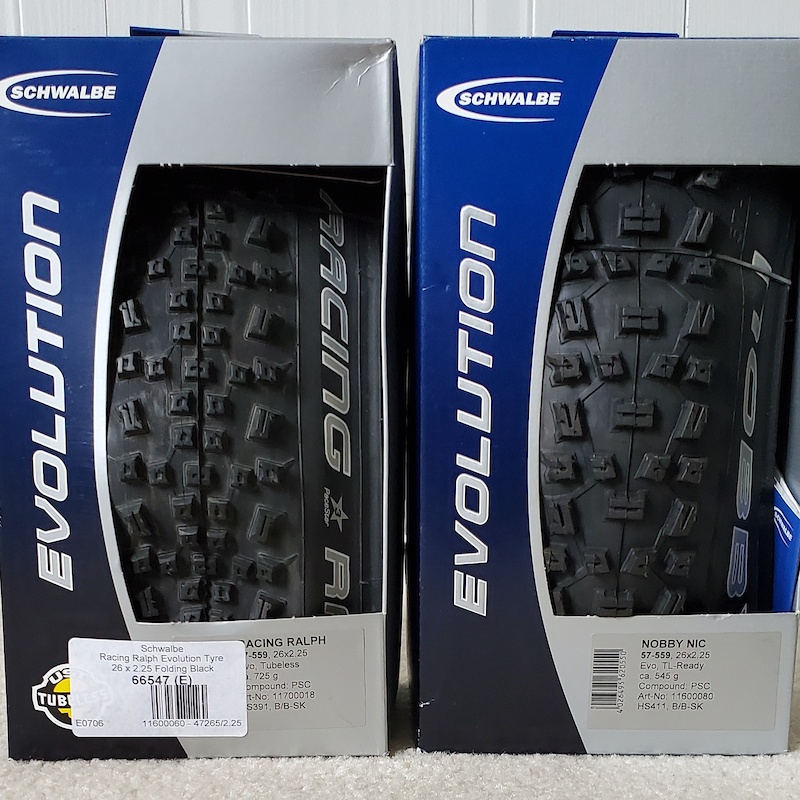 schwalbe evolution