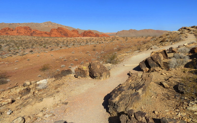 Hike out on the trail to the right along the side of a low ridge.