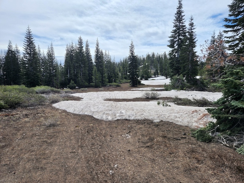 Dozen Lake Rim Donner Lake Rim Trail (Glacier) Multi Trail - Truckee