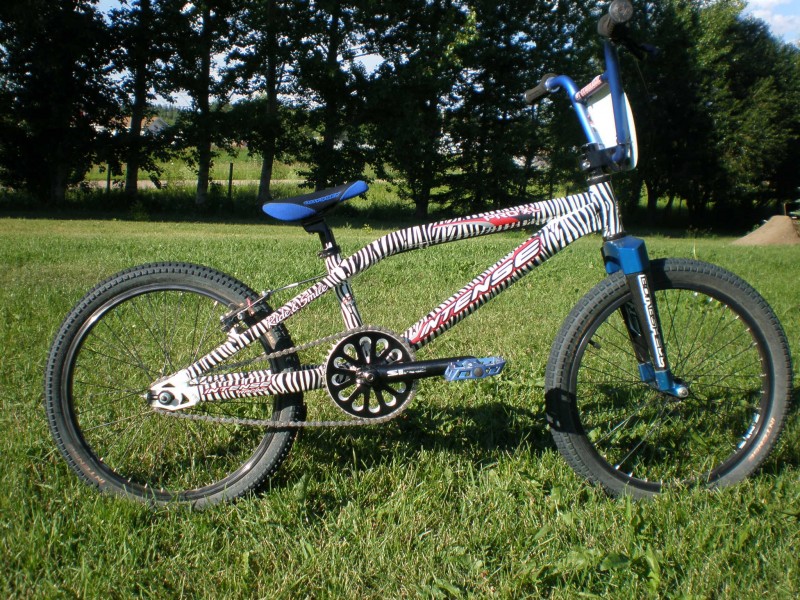 intense zebra bmx