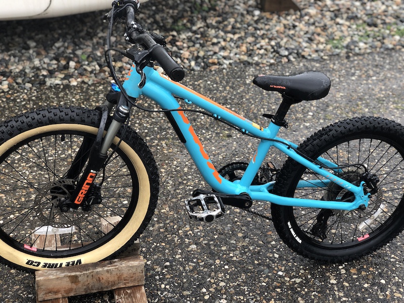 kona honzo review 2021