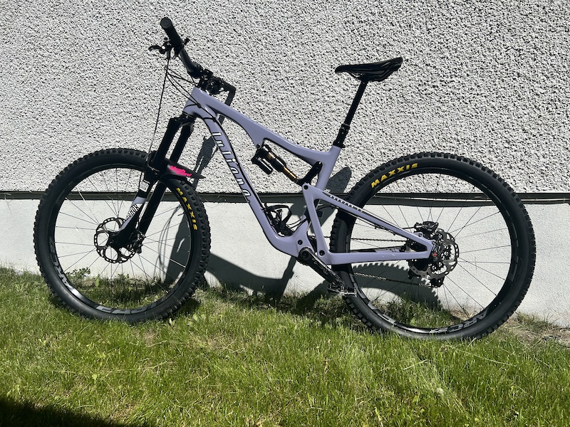 2016 juliana roubion