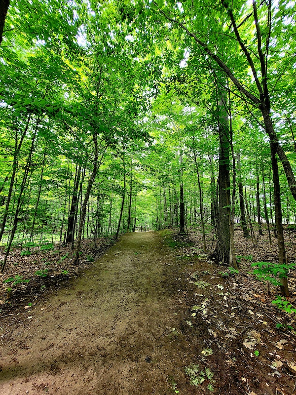 Sugar Maple Woods Trail Hiking Trail Mississauga, ON