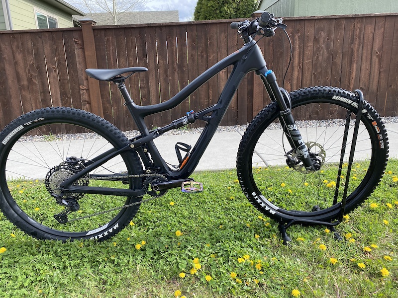ibis ripley 2021 review