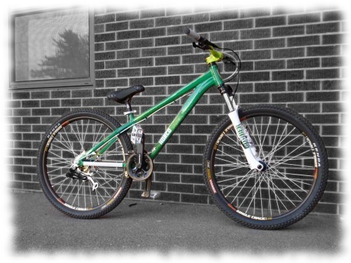 Photoshopped by bigslope3 (thanks!) props to him!

my 2008 Norco 125