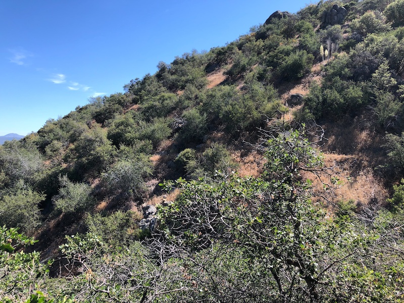 Mill Creek Trail Mountain Biking Trail Kernville