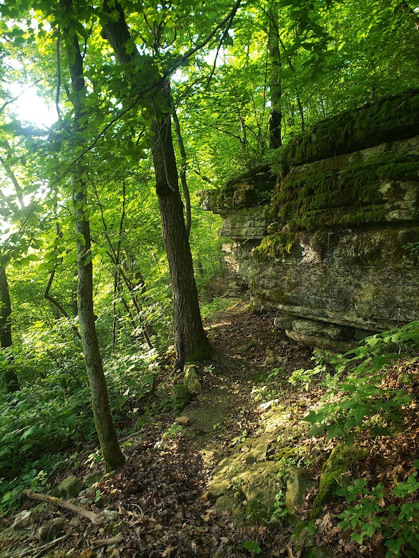 Long Shadow Mountain Biking Trail Bella Vista, Arkansas