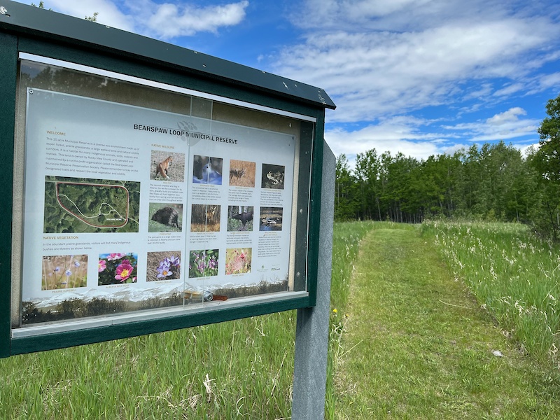 bearspaw-loop-municipal-reserve-multi-trail-calgary