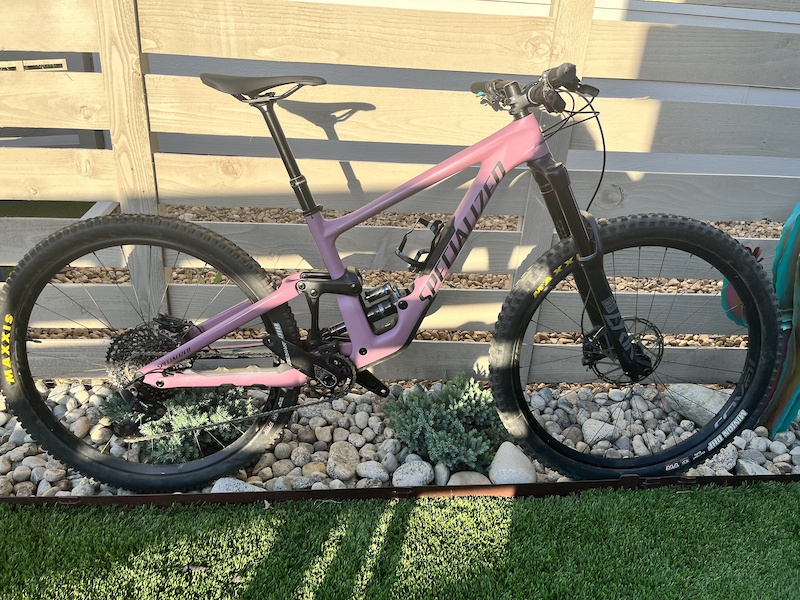 2020 specialized enduro elite