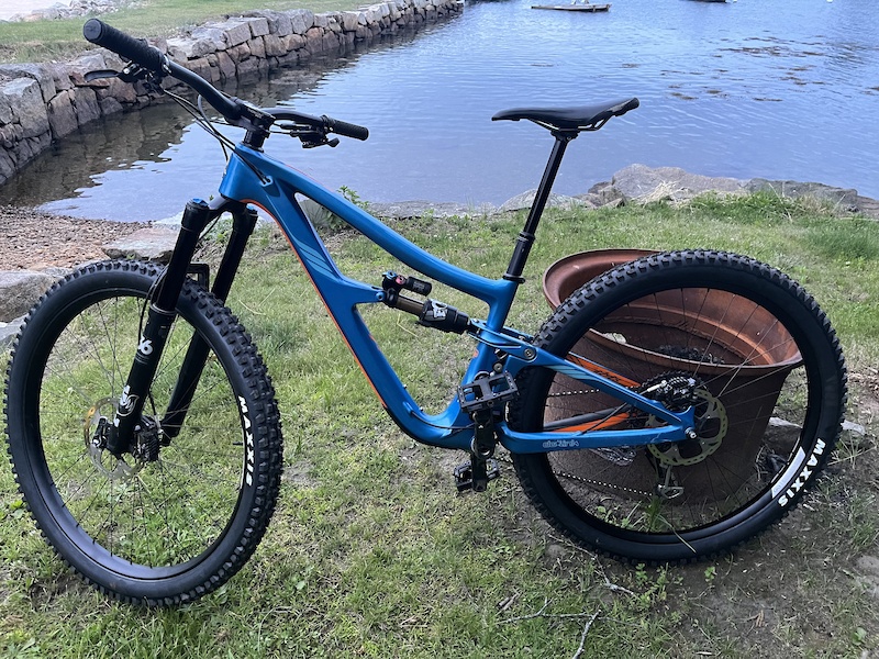ibis ripmo mullet