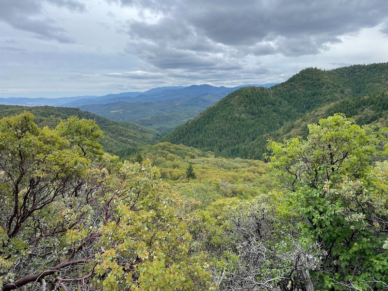 Jacksonville Forest Park Trailforks