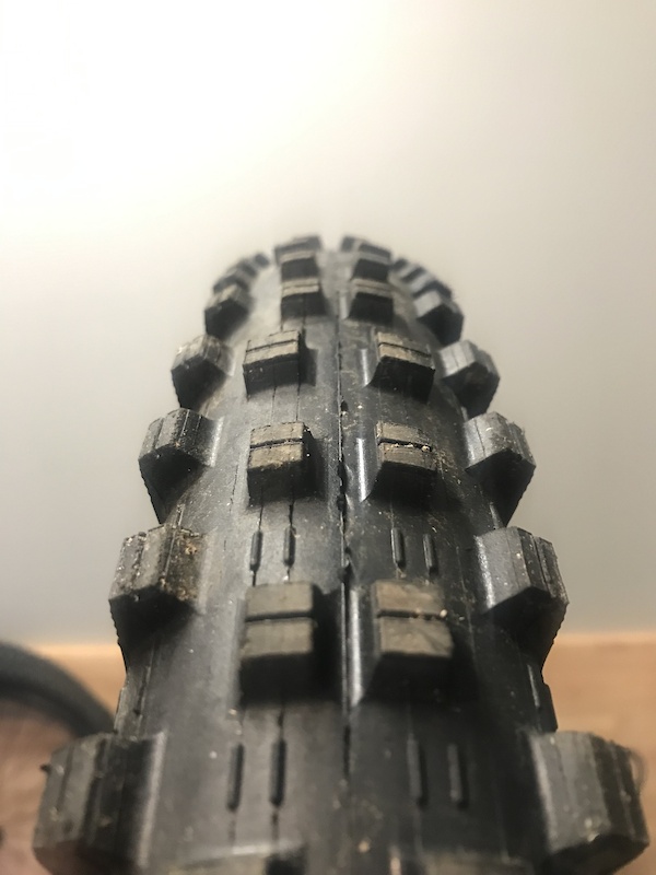 maxxis shorty 29 2.5 wt