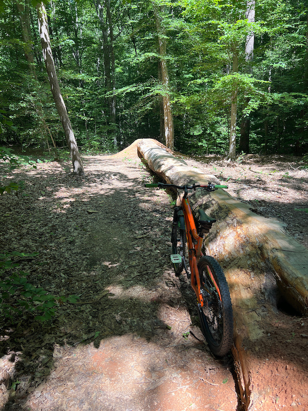 Timberdoodle Walk Timberdoodle DH Mountain Biking Trail - Chesterfield